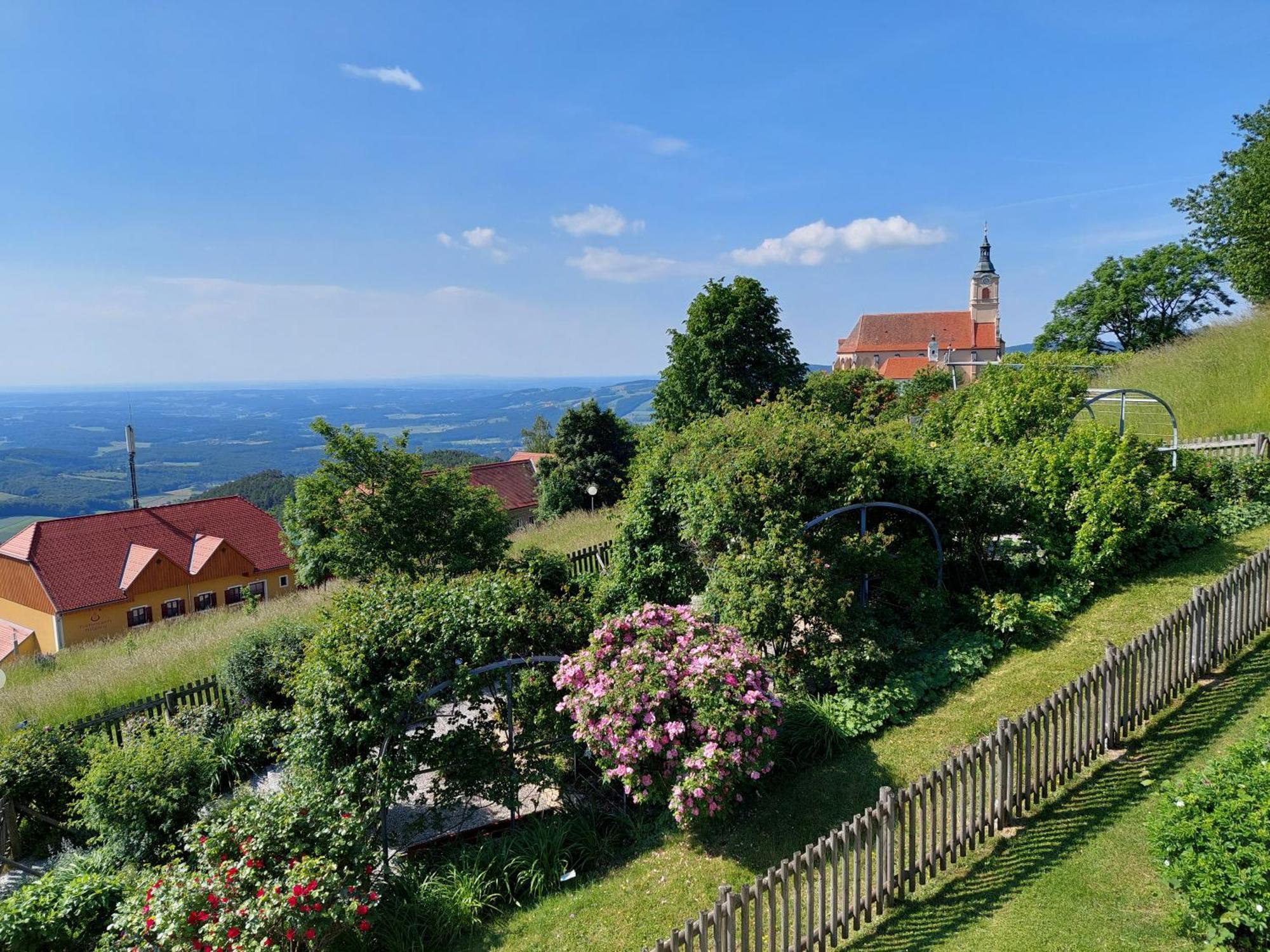 Ferienwohnung in ruhiger Lage, Garten - 1 SZ Pöllauberg Exterior foto